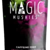 Reishi Recharge Herbal Tea | Microdose Magic Mushroom | 250mg