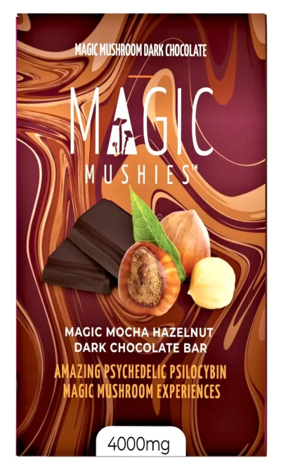 Magic Mushroom Mocha Hazelnut Dark Chocolate Bar | 4000 mg