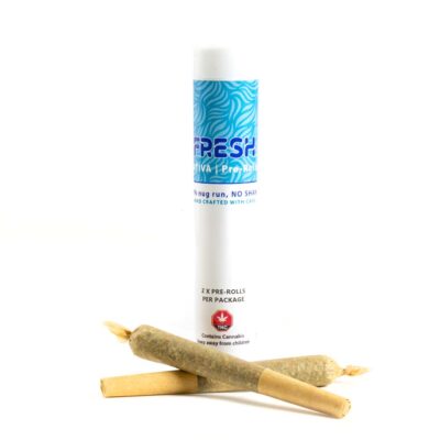 FRESH Sativa 2 pack Pre-rolls | Chocolope