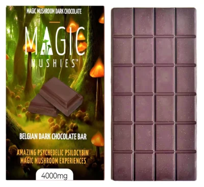 Magic Mushroom Belgian Dark Chocolate Bar 4000mg